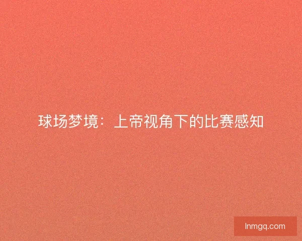 球场梦境：上帝视角下的比赛感知